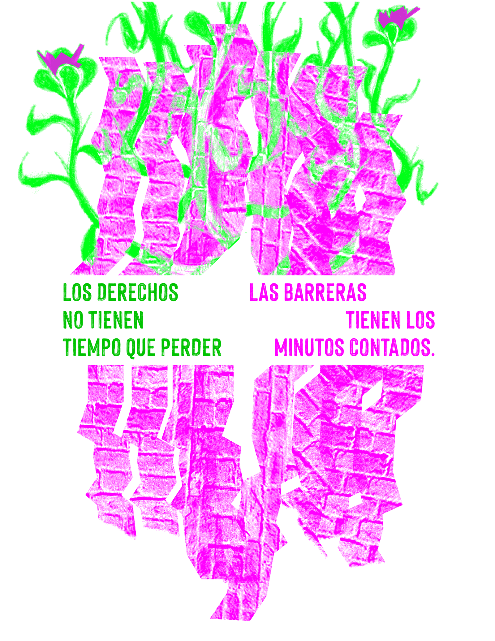 Imagen destacada